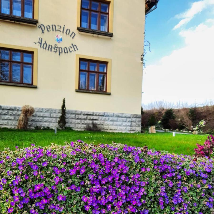 Penzion Adrspach U Bary Bagian luar foto