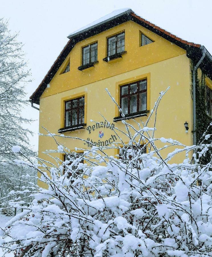 Penzion Adrspach U Bary Bagian luar foto